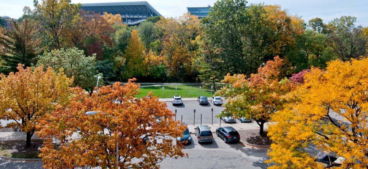 Parking tickets — what happens if you do not pay