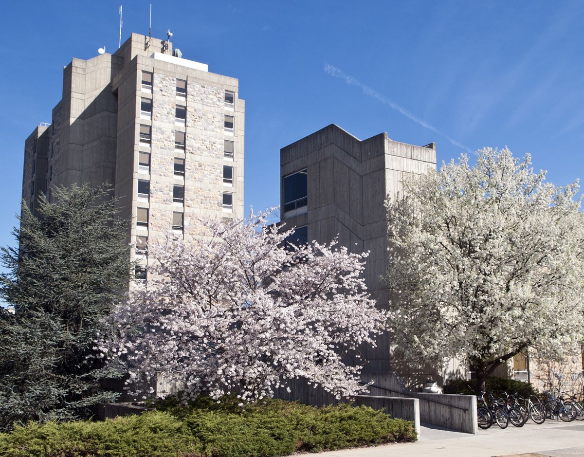 Upper Quad & Drillfield Area