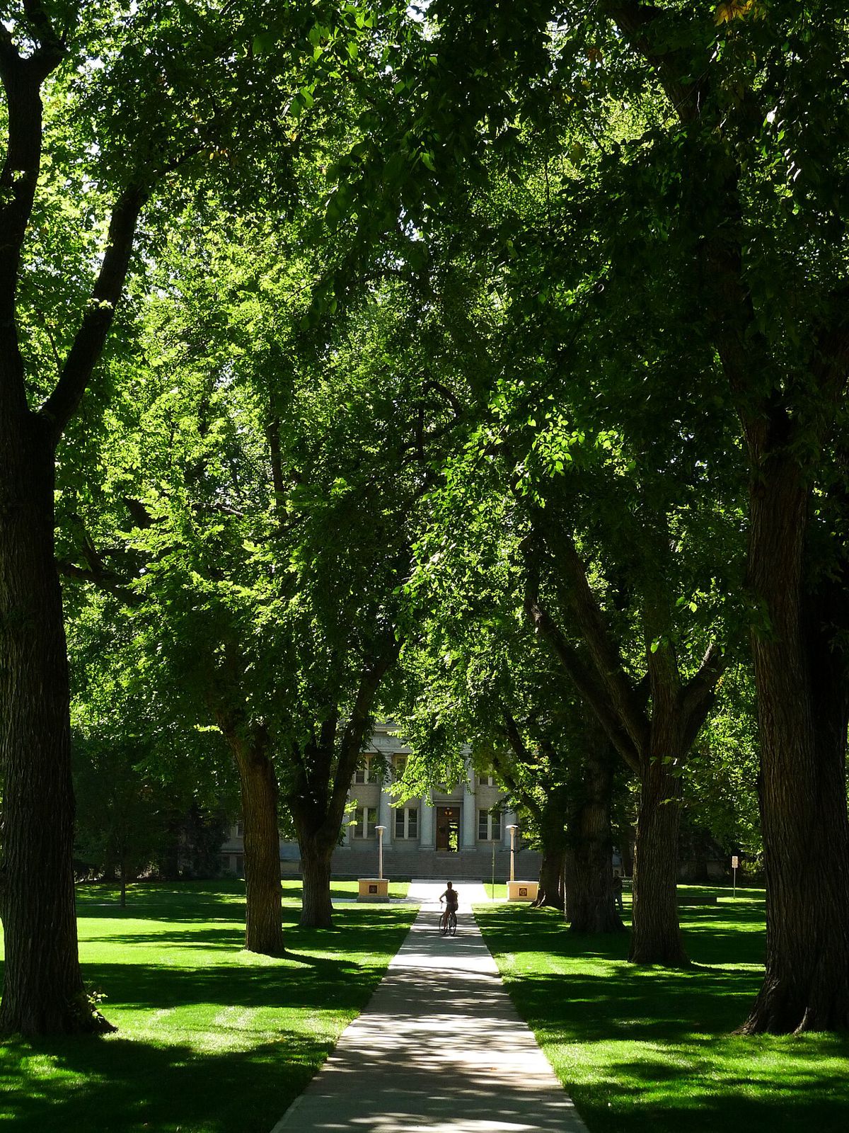 Campus Parking