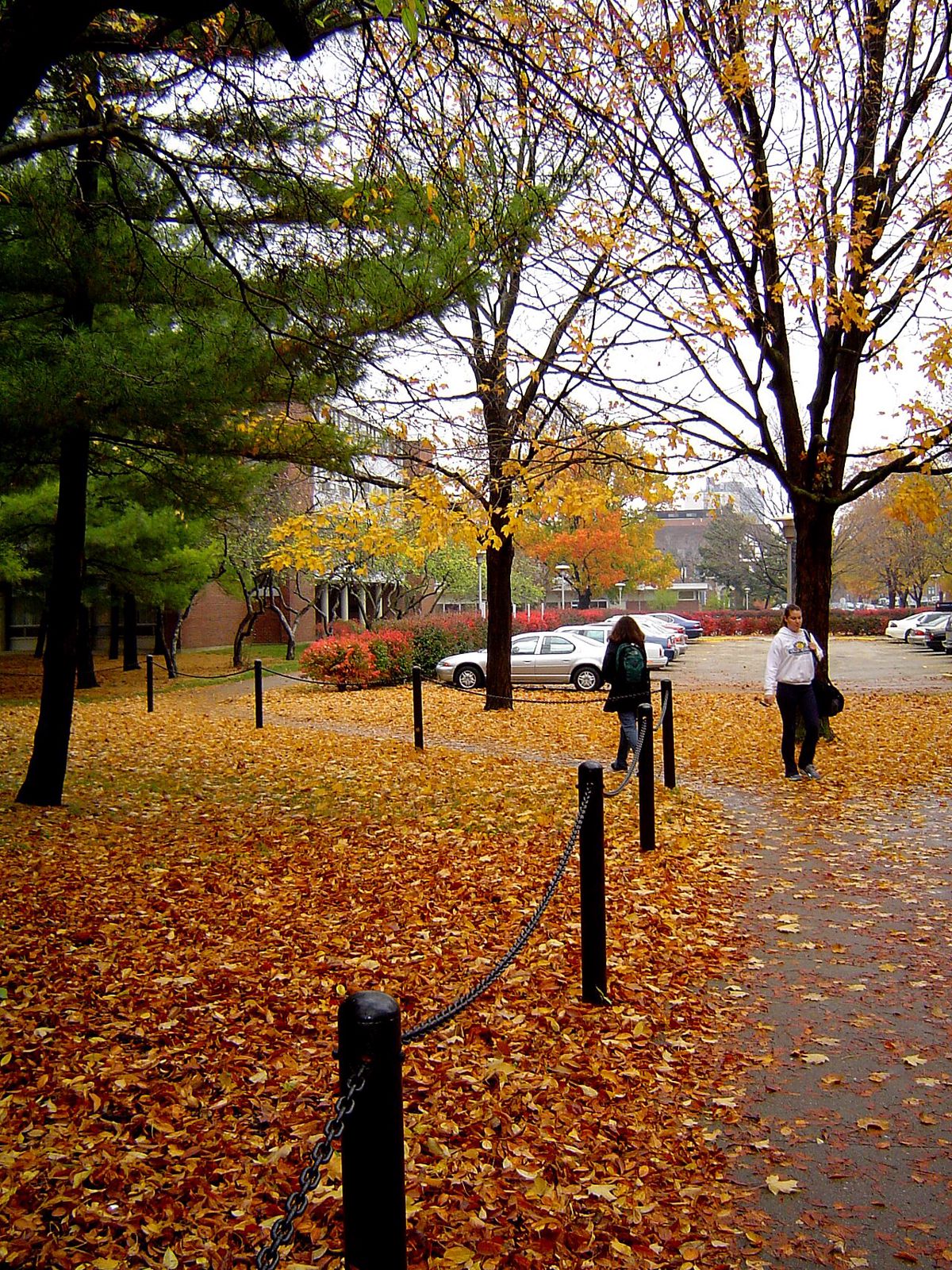 Six Pack Residence Halls