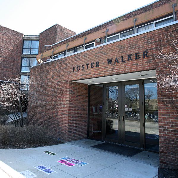 Foster-Walker Complex (Plex)
