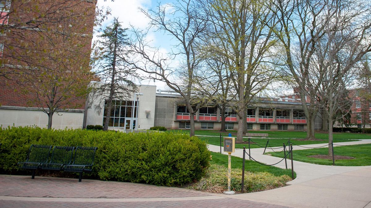 Wiley Dining Court