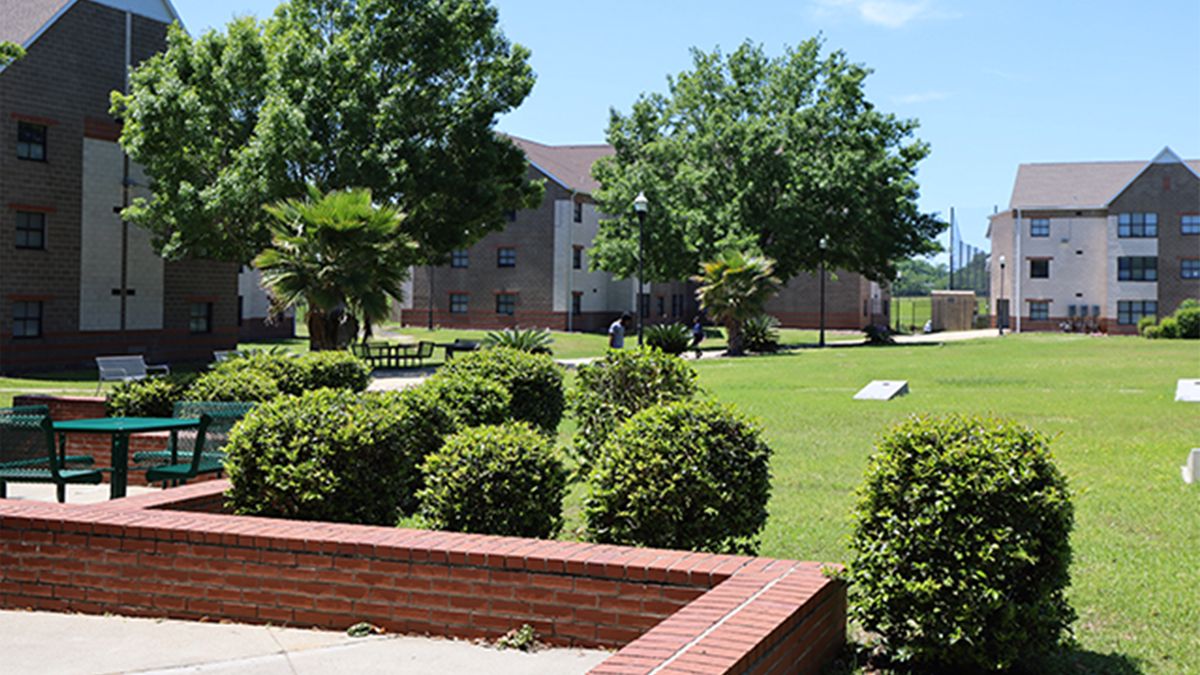 Palmetto Street South Apartments
