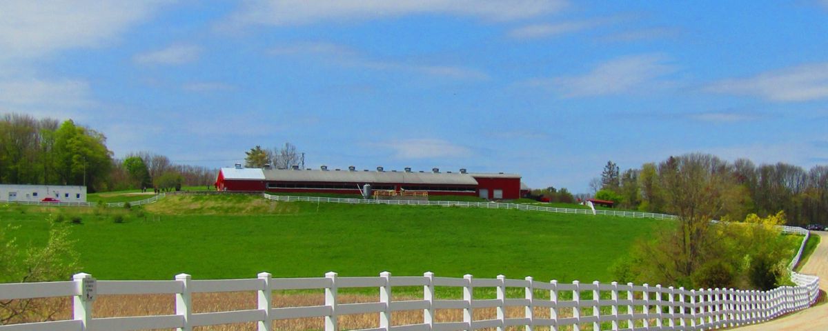 UConn Dairy Bar
